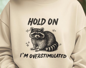 Sudadera con meme de mapache hiperestimulado, regalo divertido para introvertidos