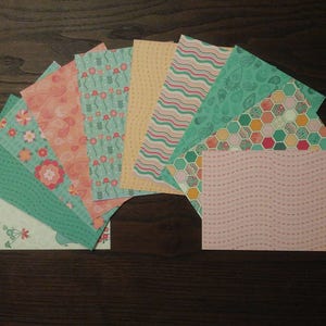 Cartolina estampada de elefante floral 4x6 pol. para frentes de cartão, cartões de página de bolso