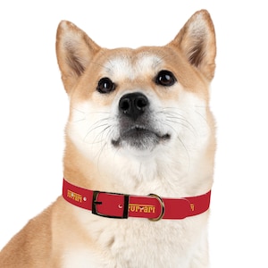 Ferrari Themed - Dog Collar (Furrari)