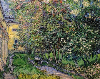 Il giardino del manicomio di St. Remy – Vincent Van Gogh