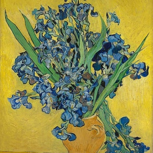 Irises Vincent Van Gogh