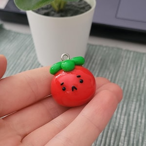 Peut inclure: Un charm en forme de tomate rouge brillant avec des feuilles vertes et une boucle argentée. Le charm a un petit visage triste avec des points noirs pour les yeux et la bouche. Ce charm fait main est un accessoire mignon.