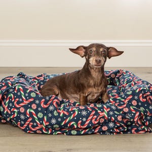 May include: A brown and white dog is laying in a blue and red dog bed with a candy cane pattern.