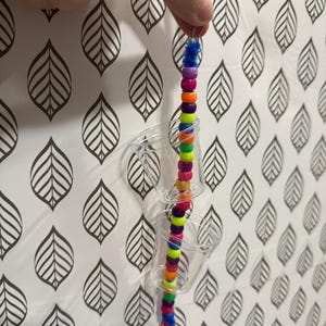Budget Colorful Cup Forager (2 cups)