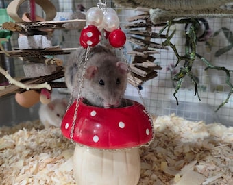 Ceramic Mushroom Foraging Toy