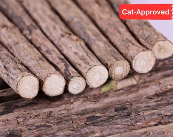 Matatabi Cat Chew Sticks: Natural Silvervine Dental Treat Toy, Catnip Alternative