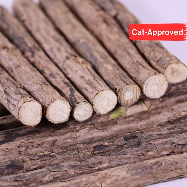 Palitos masticables para gatos Matatabi: juguete dental natural de Silvervine, alternativa a la hierba gatera