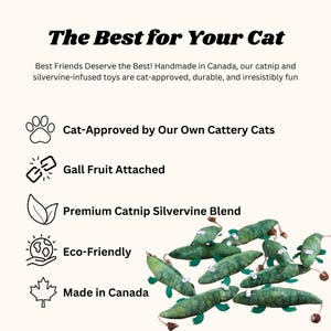 Peut inclure: Jouets en catnip verts en forme d'alligators avec des yeux globuleux. Les jouets sont faits &agrave; la main au Canada et contiennent un m&eacute;lange de catnip et de silvervine. Le texte sur l'image indique "The Best for Your Cat", "Cat-Approved by Our Own Cattery Cats", "Gall Fruit Attached", "Premium Catnip Silvervine Blend", "Eco-Friendly", et "Made in Canada".