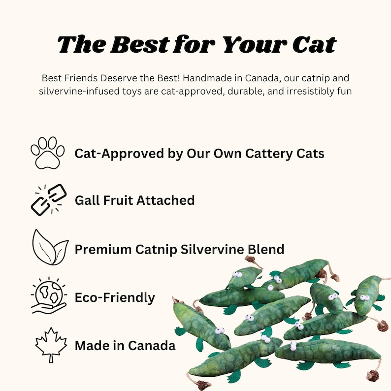 Peut inclure: Jouets en catnip verts en forme d'alligators avec des yeux globuleux. Les jouets sont faits &agrave; la main au Canada et contiennent un m&eacute;lange de catnip et de silvervine. Le texte sur l'image indique "The Best for Your Cat", "Cat-Approved by Our Own Cattery Cats", "Gall Fruit Attached", "Premium Catnip Silvervine Blend", "Eco-Friendly", et "Made in Canada".