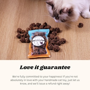 May include: A close-up of a bag of brown, dried catnip treats. The bag is labeled "Silvervine Fruit" and has a picture of a cat on it. A cat is sniffing the treats on a wooden surface.