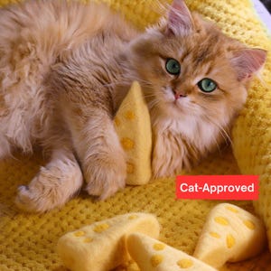 Jouets pour chats avec herbe à chat infusée de fromage feutrée Silvervine avec boîte de recharge par Bluebubble, jouet pour chat en laine de Nouvelle-Zélande