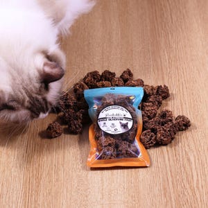 May include: A white cat with blue eyes looks at a bag of brown, dried fruit treats. The bag is blue and orange and says "Freeze Dried Whole Silvervine Fruit".