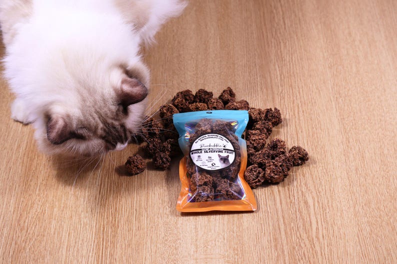 May include: A white cat with blue eyes looks at a bag of brown, dried fruit treats. The bag is blue and orange and says "Freeze Dried Whole Silvervine Fruit".