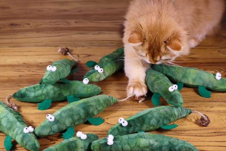 Peut inclure: Un chat roux joue avec un ensemble de jouets en peluche en forme d'alligator vert. Les jouets en forme d'alligator ont des yeux globuleux et sont faits d'un tissu doux et duveteux.
