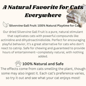 May include: A white cat playing with a stick toy. Text reads: "A Natural Favorite for Cats Everywhere" and "Silvervine Gall Fruit: 100% Natural Playtime for Cats". Text also reads: "Our dried Silvervine Gall Fruit is a pure, natural stimulant that captivates cats with powerful compounds like actinidine and dihydroactinidiolide. Perfect for encouraging playful behavior, it's a great alternative for cats who don't react to catnip. Safe for chewing and guaranteed to provide hours of entertainment - completely natural, with nothing added." Text also reads: "100% Natural and Safe" and "The effects come from cats smelling the plant, though some may also ingest it. Each cat's preference varies, so try it out and see what your cat enjoys most!"