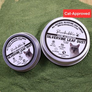 Silberrankenblatt-Pulver für Katzen: Ganz natürliche Katzenminze Alternative Katzenspielzeug, frisch gewachsen
