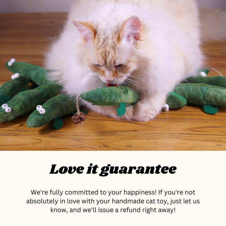Peut inclure: Un chat blanc joue avec un jouet pour chat en forme d'alligator vert fait &agrave; la main. Le jouet est fait de tissu doux et a un design r&eacute;aliste. Le chat appr&eacute;cie le jouet et a l'air heureux. Le texte "Love it guarantee" est affich&eacute; sous l'image. Nous nous engageons pleinement &agrave; votre satisfaction&nbsp;! Si vous n'&ecirc;tes pas absolument satisfait de votre jouet pour chat fait &agrave; la main, faites-le nous savoir et nous vous rembourserons imm&eacute;diatement&nbsp;!