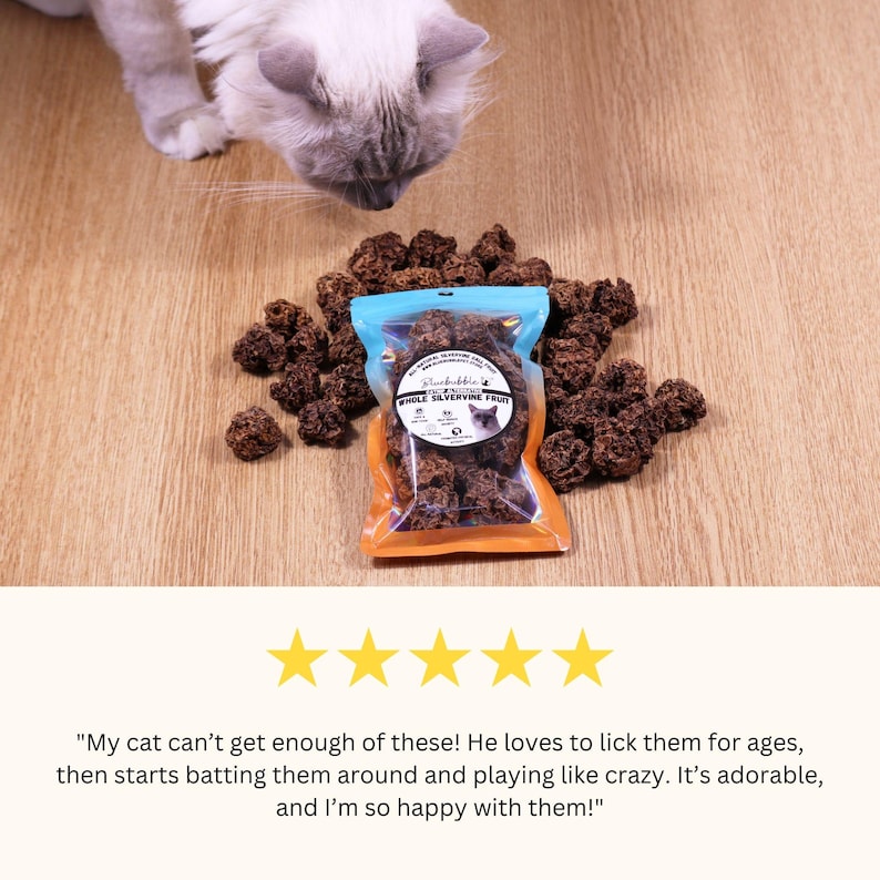 May include: A close-up of a bag of dried silvervine fruit cat treats. The bag is blue and orange with the text "Whole Silvervine Fruit" on it. A cat is sniffing the treats on the wooden floor.