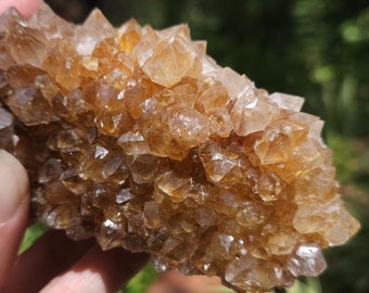 Ametrine Spirit Quartz, Cactus Quartz Flower from Boekenhouthoek, Mpumalanga, South Africa