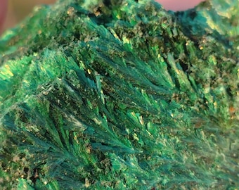Malachite Fibrous Specimen from Katanga, DR Congo