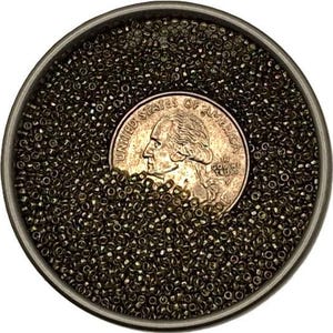 May include: A circular container filled with tiny, metallic dark bronze seed beads. A United States quarter coin is partially submerged in the center of the beads, showing the profile of George Washington and the text United States of America.