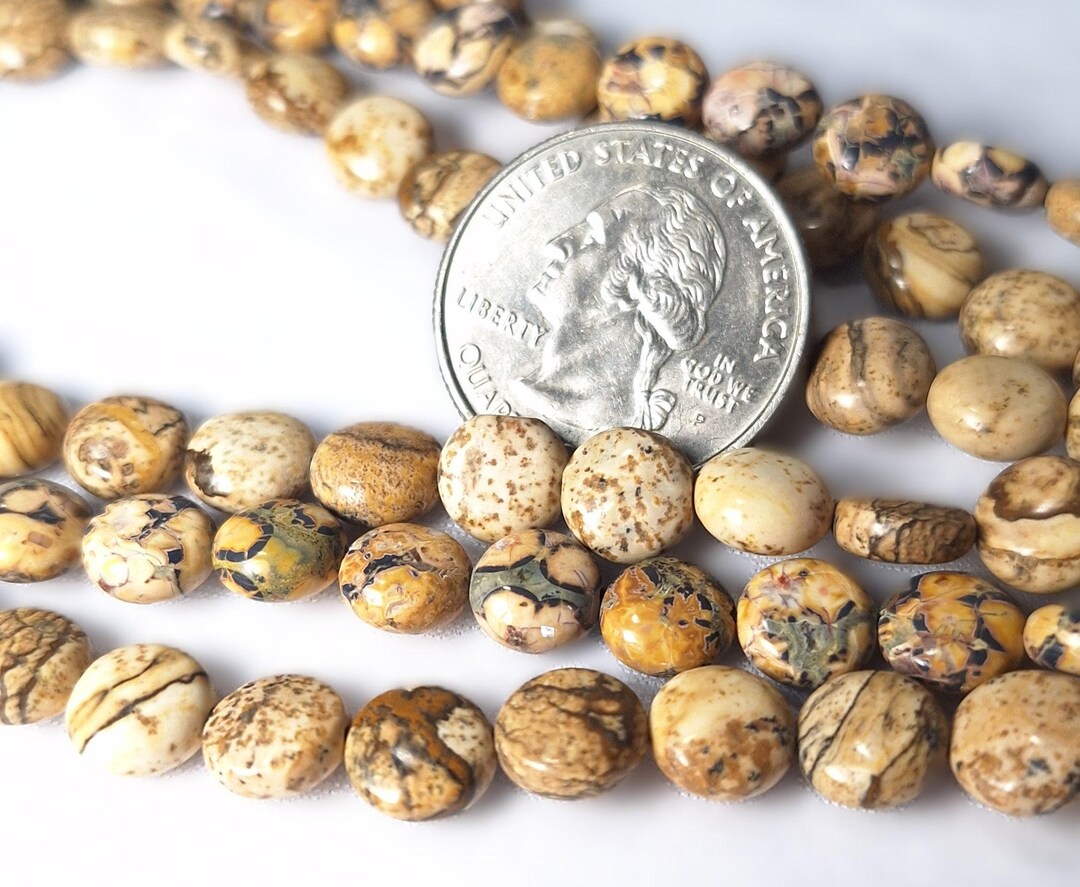8mm Picture Jasper Coin Gemstone Beads 16-inch Strand - Etsy