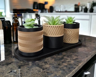 Modern 3D Printed 3-Inch Planter Set – Succulent & Cactus