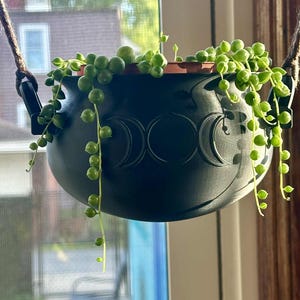 May include: A black hanging planter with a triple moon design, filled with a string of pearls succulent. The planter is suspended by brown rope. The plant has small, round, green leaves that cascade down the sides of the pot.