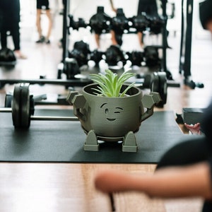 May include: A green, 3D printed planter shaped like a cartoon face with a winking eye. The planter has a small, green succulent plant growing inside.