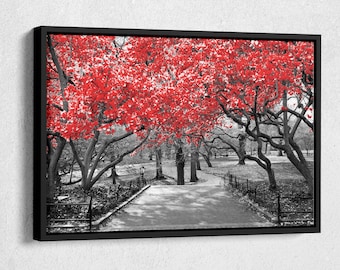 Canopy of red trees in surreal black and white landscape scene in Central Park, New York City Canvas Wall Art Home Decor Framed Poster Print