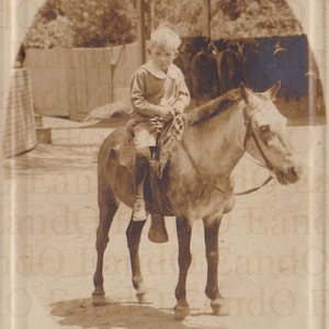 Antique Rare Real Photo Postcard RPPC of a Little Boy on a Pony (Identified as Arthur Vetter) 1920s