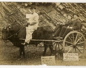 Fantastic Antique Souvenir Traveling Tourist Real Photo Postcard - Traveling Through Arkansas on an Ox Cart 1900s