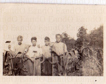 Antique Photo - Working in the Garden - Group of Young Men with Hoes and Rakes 1920s 1930s Identified on the Back