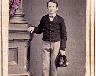 Antique CDV Carte de Visite of a Young Man Wearing a Suit and Holding a Cap - Hand Tinted Back Drop -1860s, 1870s