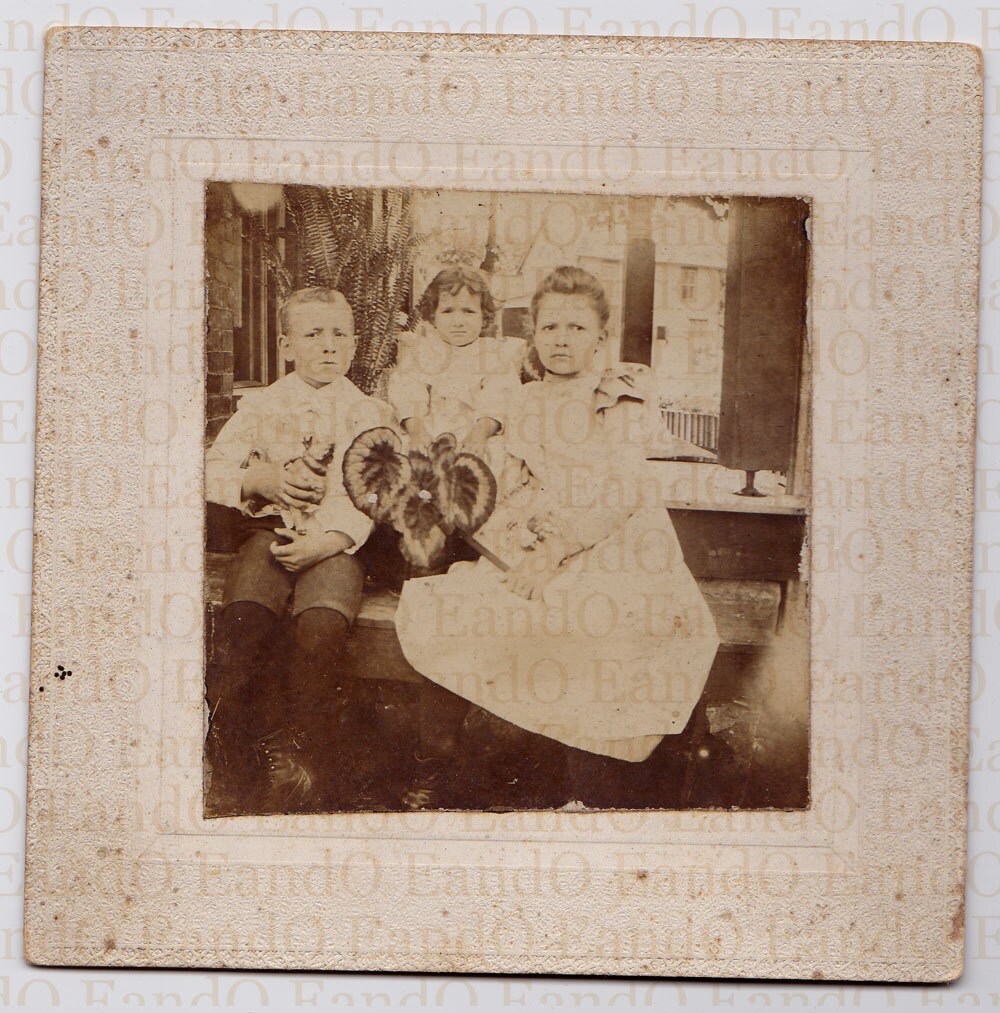children Cabinet card ephemera family photo junk journaling, siblings antique photos vintage photograph framed cabinet card