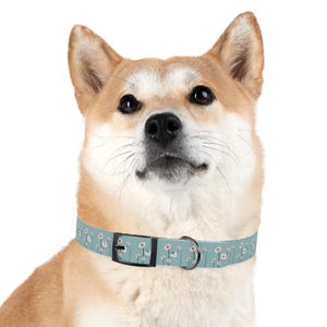 Blue Daisy Dog Collar