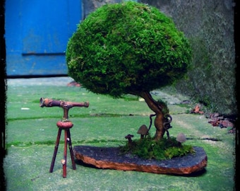 Fairy Moss Tree, moss tree, topiary, miniature tree, bonsai, indoor garden, natural decor, wedding decor