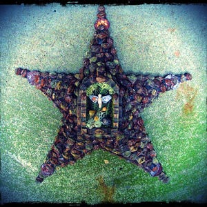 faery star, faery shadowbox, fae pentagram, natural materials shadowbox, cabinet of curiosities, Victorian nature craft