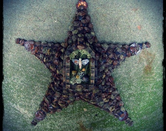 faery star, faery shadowbox, fae pentagram, natural materials shadowbox, cabinet of curiosities, Victorian nature craft