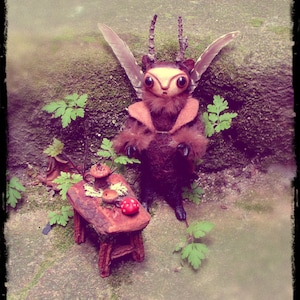 Pixie Shapeshifter Fae Doll Custom Order