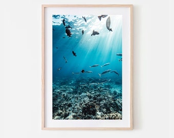 Hawaii Coral Reef Photography Art Print, Molokini Crater, Maui, Hawaii, Travel Photography, Wall Art, Fish, Coral Reef, Underwater, Print