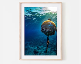 Hawaii Coral Reef Mooring Ball Photography Art Print, Molokini Crater, Maui, Hawaii, Wall Art, Fish, Coral Reef, Underwater, Print