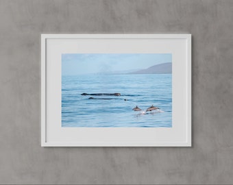 Humpback Whale & Spinner Dolphins Photo Print, Maui, Hawaii, Travel Photography, Wall Art, Whales, Ocean, Print, Underwater, Dolphins