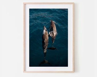 Hawaiian Spinner Dolphin Photography Art Print, Maui, Hawaii, Travel Photography, Wall Art, Dolphins, Underwater, Print, Wildlife