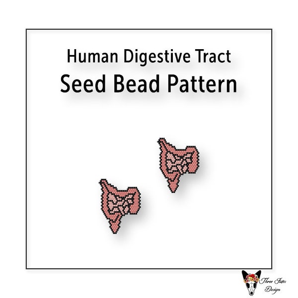 Beaded Earring Pattern, Brick Stitch, Seed Bead Charm, Instant Download PDF File, Human Digestive Tract