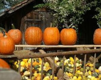 October Kindergarten & Preschool Curriculum Ages 3-6+ - Waldorf Homeschool EBook Active