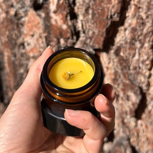 Wild Crafted Herbal Pine Salve