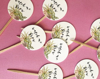 Watch Me Grow Favor Tags sticks, Let Love Grow, custom tags, reception favors, bridal shower, baby shower, succulent design, wood picks
