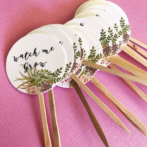 Let Love Grow Favor Tags sticks, Watch Me Grow, custom tags, reception favors, bridal shower, baby shower, succulent design, wood picks image 4