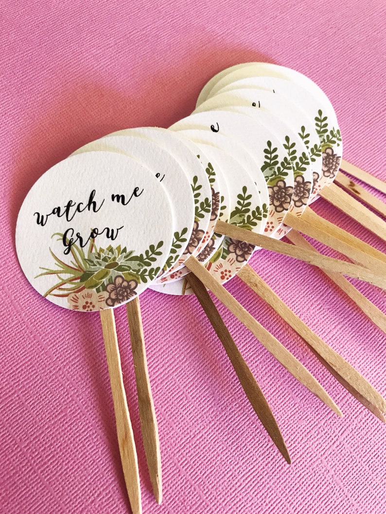 Let Love Grow Favor Tags sticks, Watch Me Grow, custom tags, reception favors, bridal shower, baby shower, succulent design, wood picks image 4